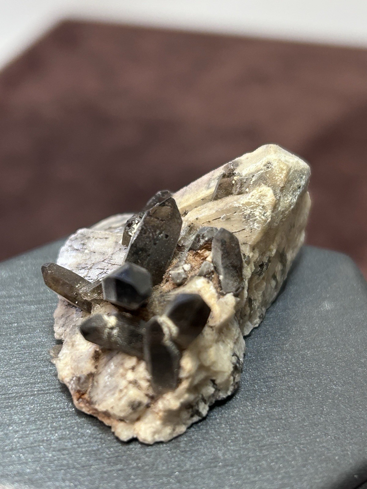 Smoky Quartz on Microcline Colorado Crystal Lined Pocket Miniature Mineral