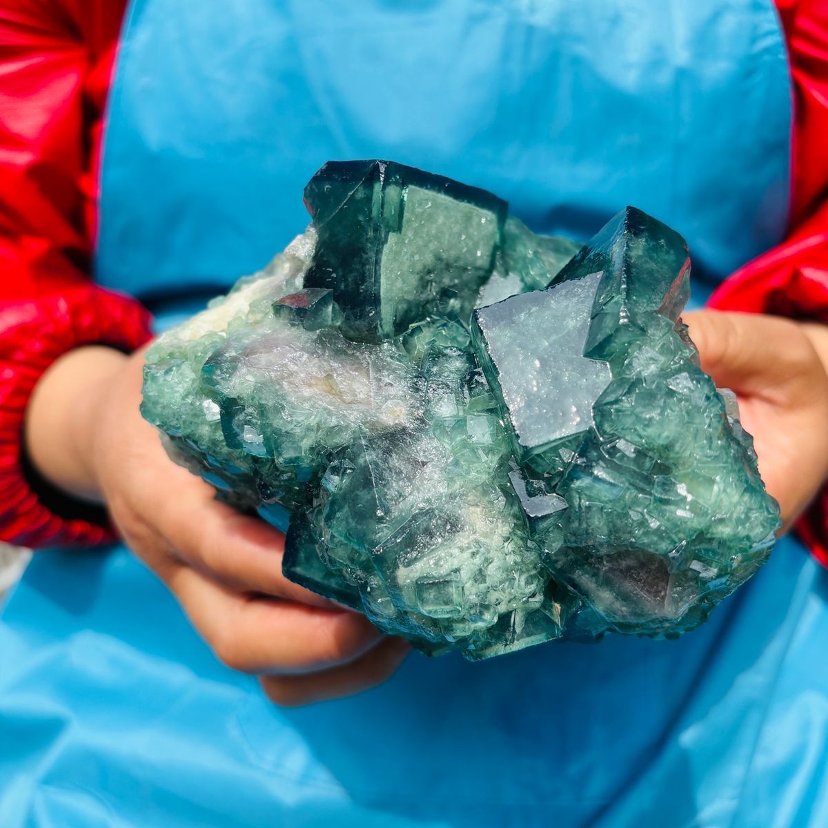 3.93LB Natural Green Fluorite Crystal Cluster Cubic Fluorite Specimen healing