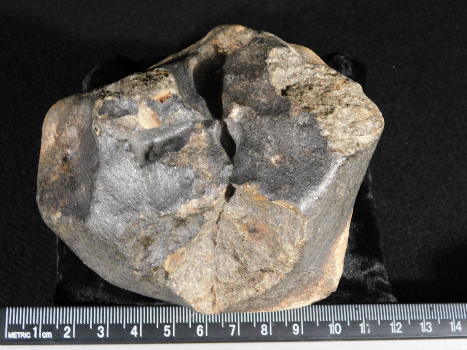 Big! N.W.A 869 Stony METEORITE with Dark Fusion Crust and DEEP REGMAGLYPTS 880gr