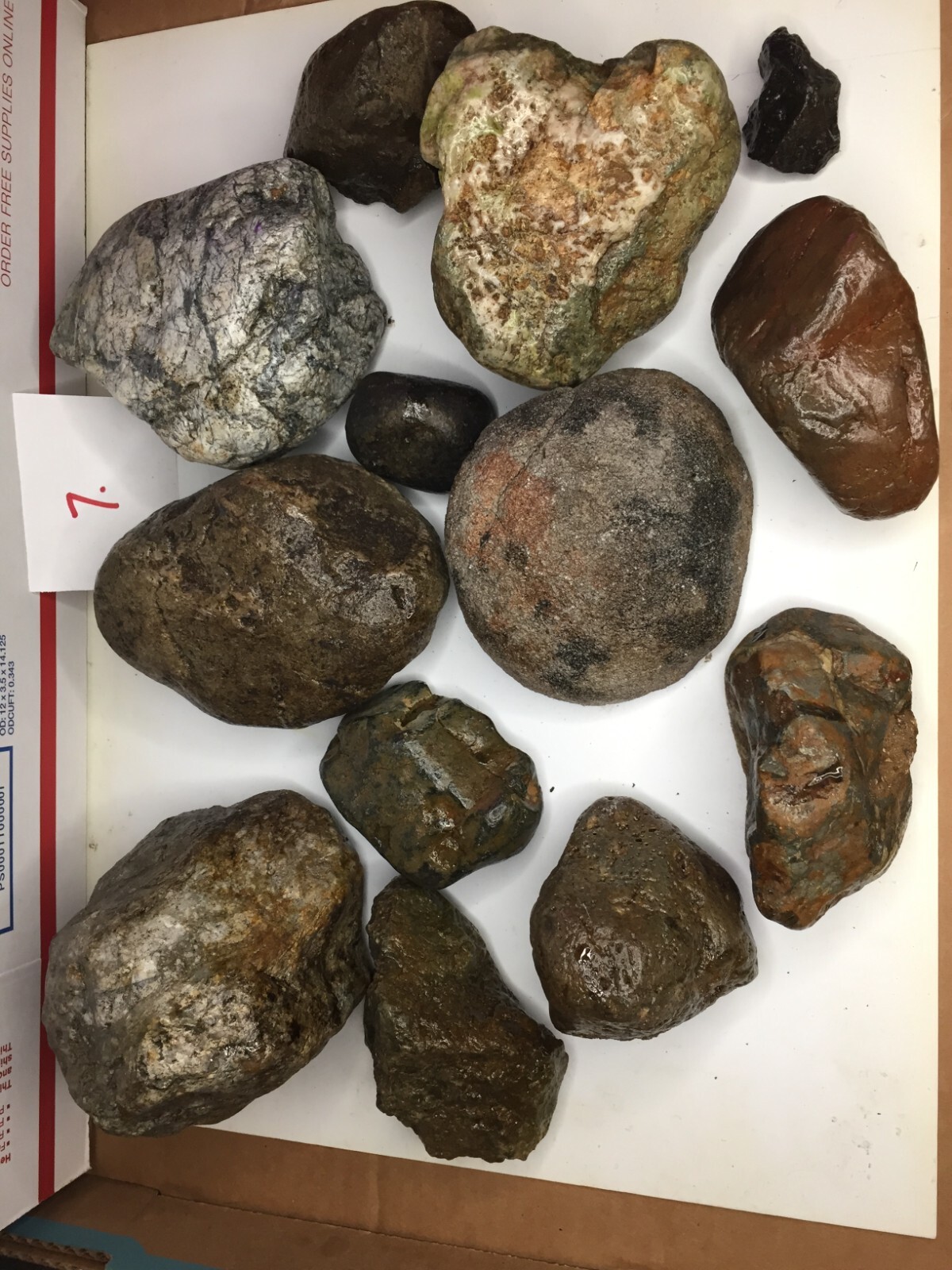 WASHINGTON MIXED ROUGH RIVER AND MOUNTAIN ROCKS FOR CRAFTS, NOT POLISHED!