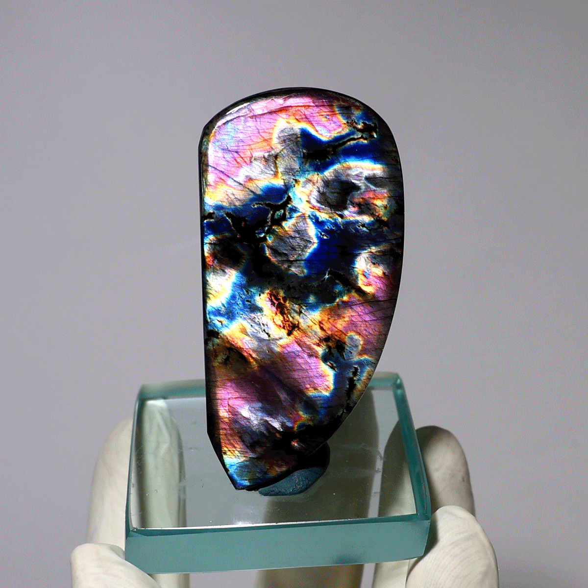 Collision Of Colors~ Natural Aurora Spectrolite Polished Hi-Quality Crystal Slab