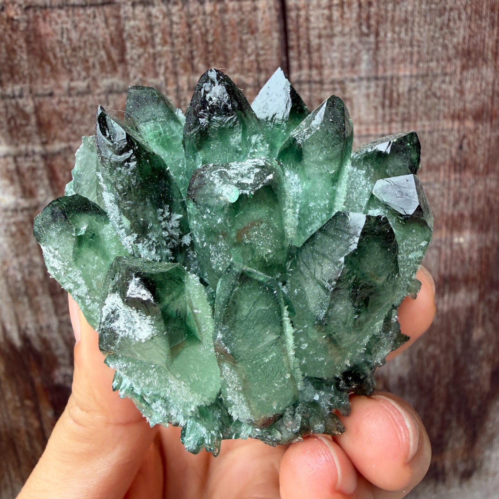 New Find green Phantom Quartz Crystal Cluster Mineral Specimen Healing 200g+ 1pc