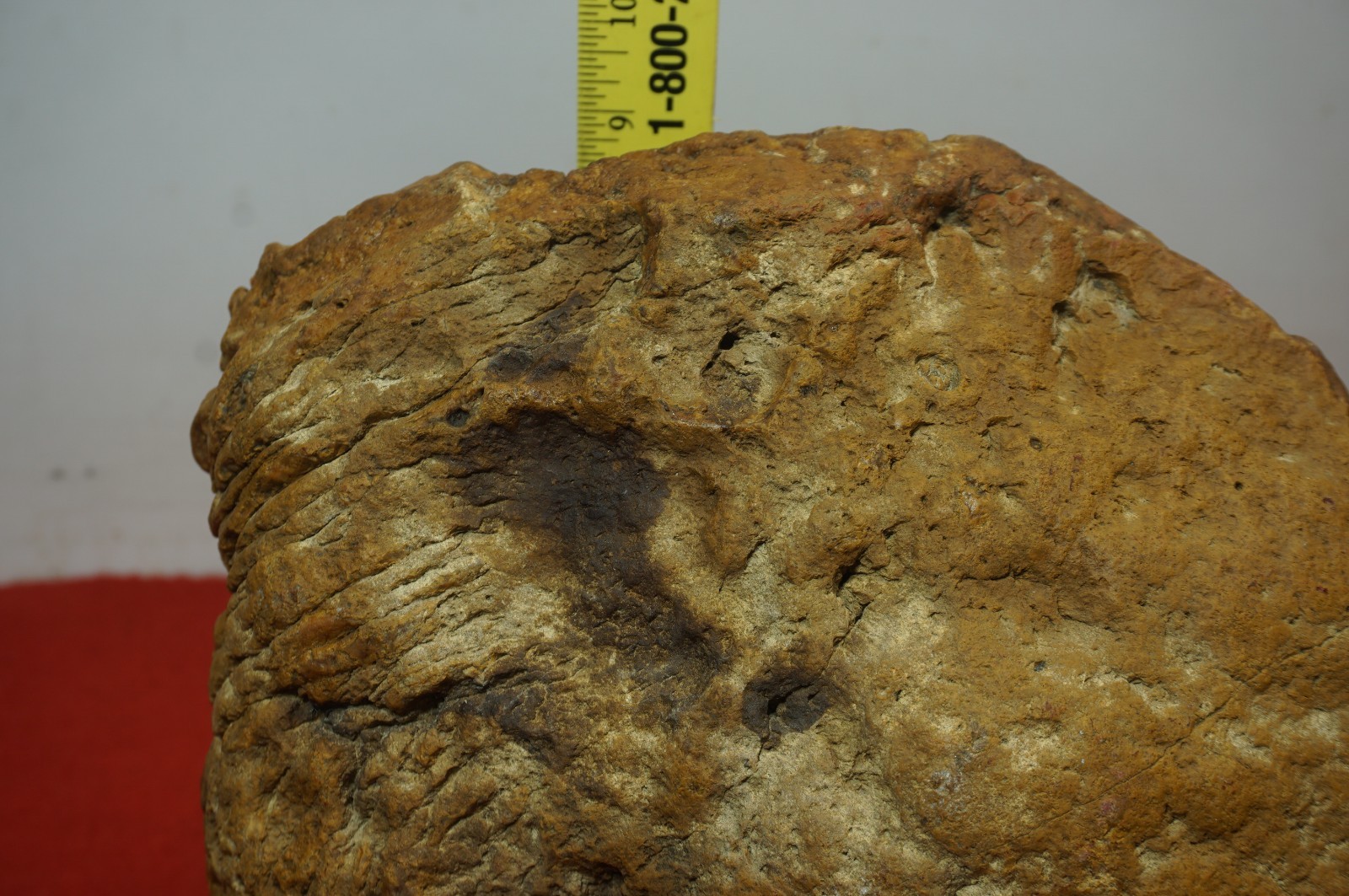 HUGE 30 Lbs. Kentucky Geode