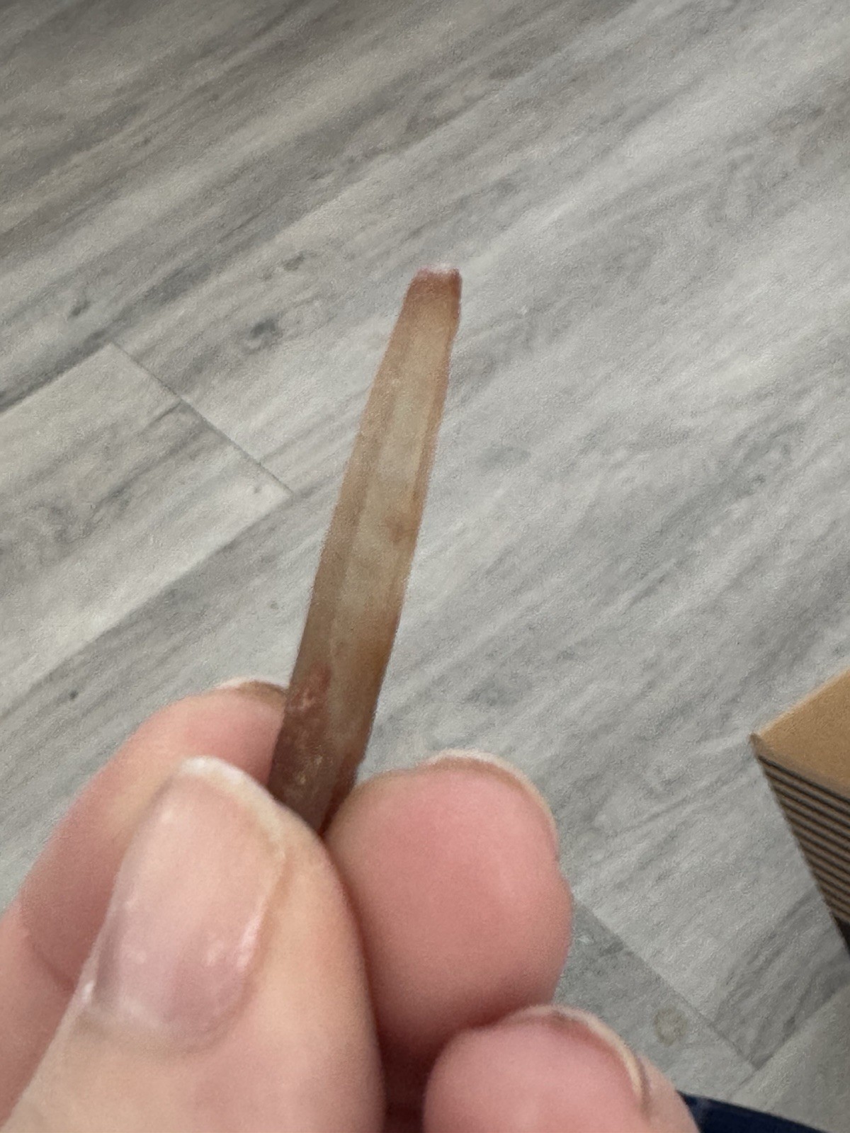 ✨3- Lemurian Singing Smokey Quartz #3
