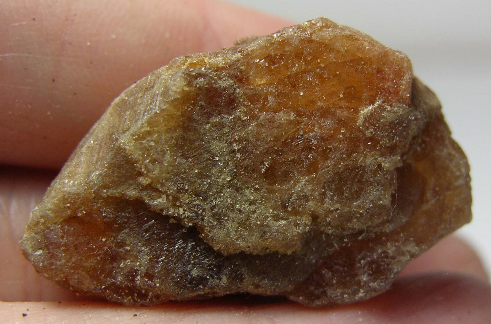 #8 Afghan 82.60ct 100% Natural Rough Raw Hessonite Garnet Specimen 16.50g 33mm