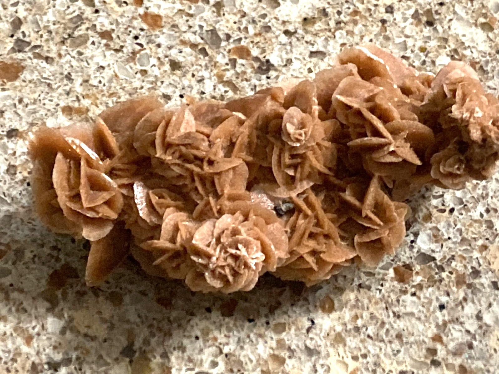 Africa Minerals- Selenite Rose, Celestite, Vanadinite