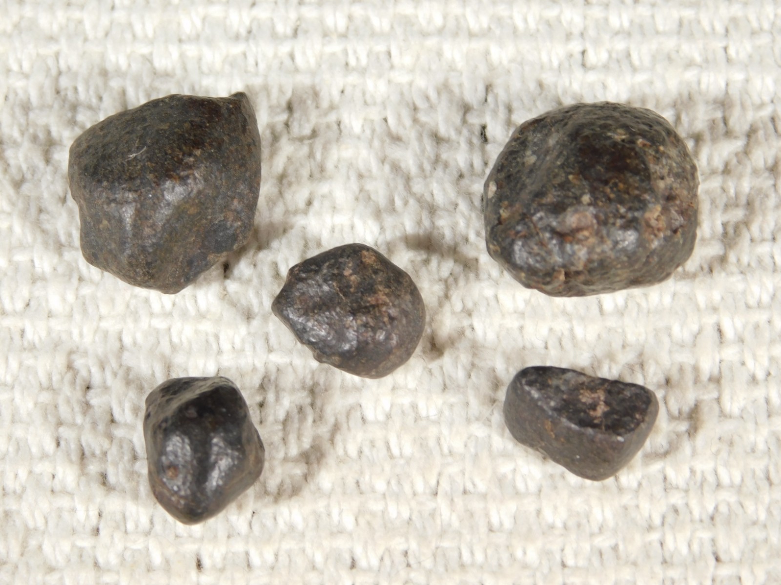 Lot of FIVE! Little 100% Natural N.W.A. Stony METEORITES Algeria 13.2gr