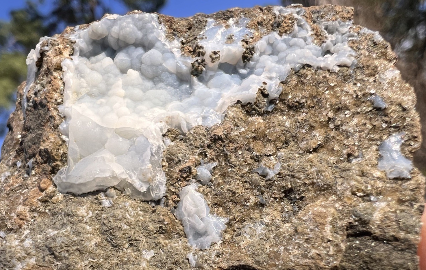 Botryoidal Blue Chalcedony Vug – Gleichenberg, Austria – 165 Grams