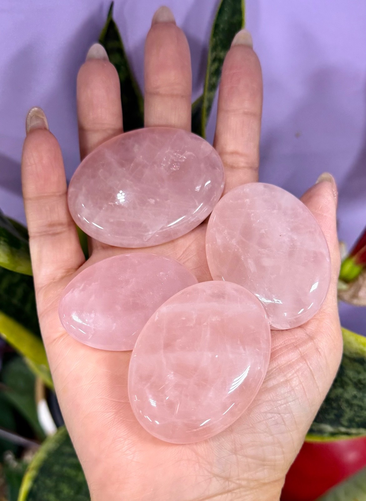 Wholesale Lot 1 Lb Natural Rose Quartz Palm Stones Crystal Healing