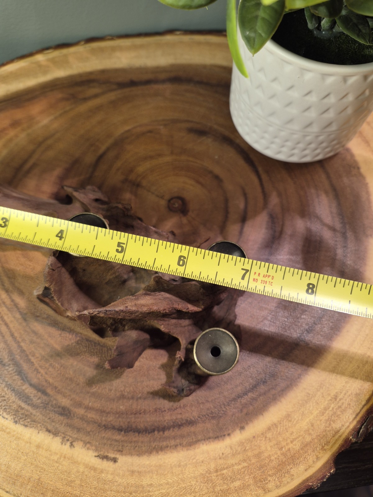 Drift Wood Sphere Holder XS – MED 4 Spheres