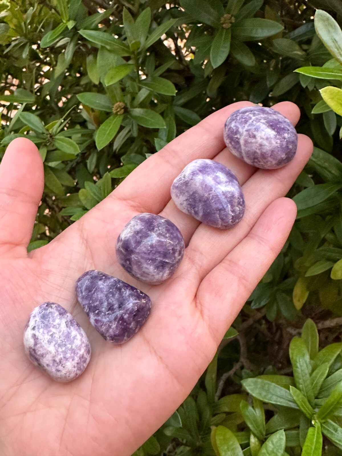 Grade A++ Lepidolite Tumbled Stones 0.75-1.25 Inch, Wholesale Bulk Lot