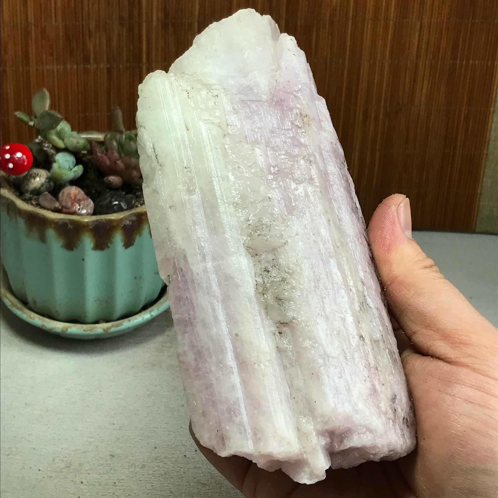170-78-40mm NATURAL ROUGH KUNZITE PINK SPODUMENE CRYSTALS 830g A4613