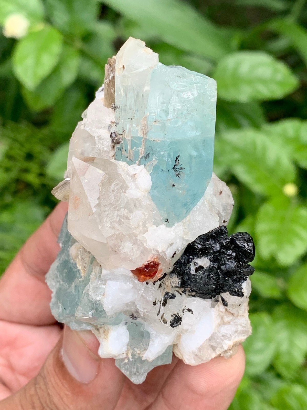 123 GMNatural Sky Blue Aquamarine Crystal With Quartz, Garnet and Tourmaline Spe