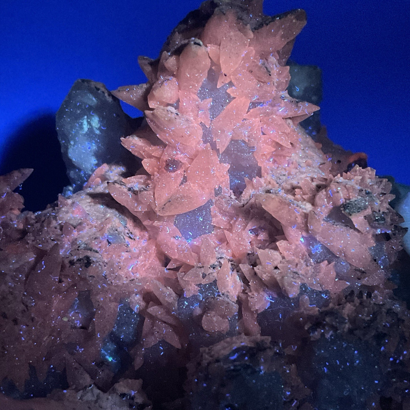 SS Rocks – Quartz, Calcite and Pyrite (Silverton, Colorado) 4.11lbs Fluorescent