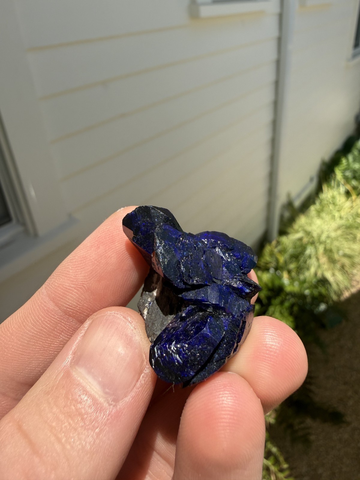 Azurite on matrix from Milpillas Mine, Mexico