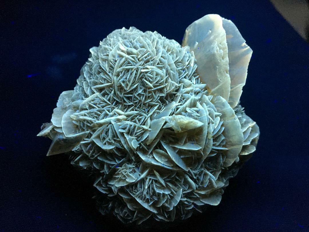 KB: BRIGHT FL. YELLOW/WHITE SW/LW/PHOS. GYPSUM XLS. FROM CANADA