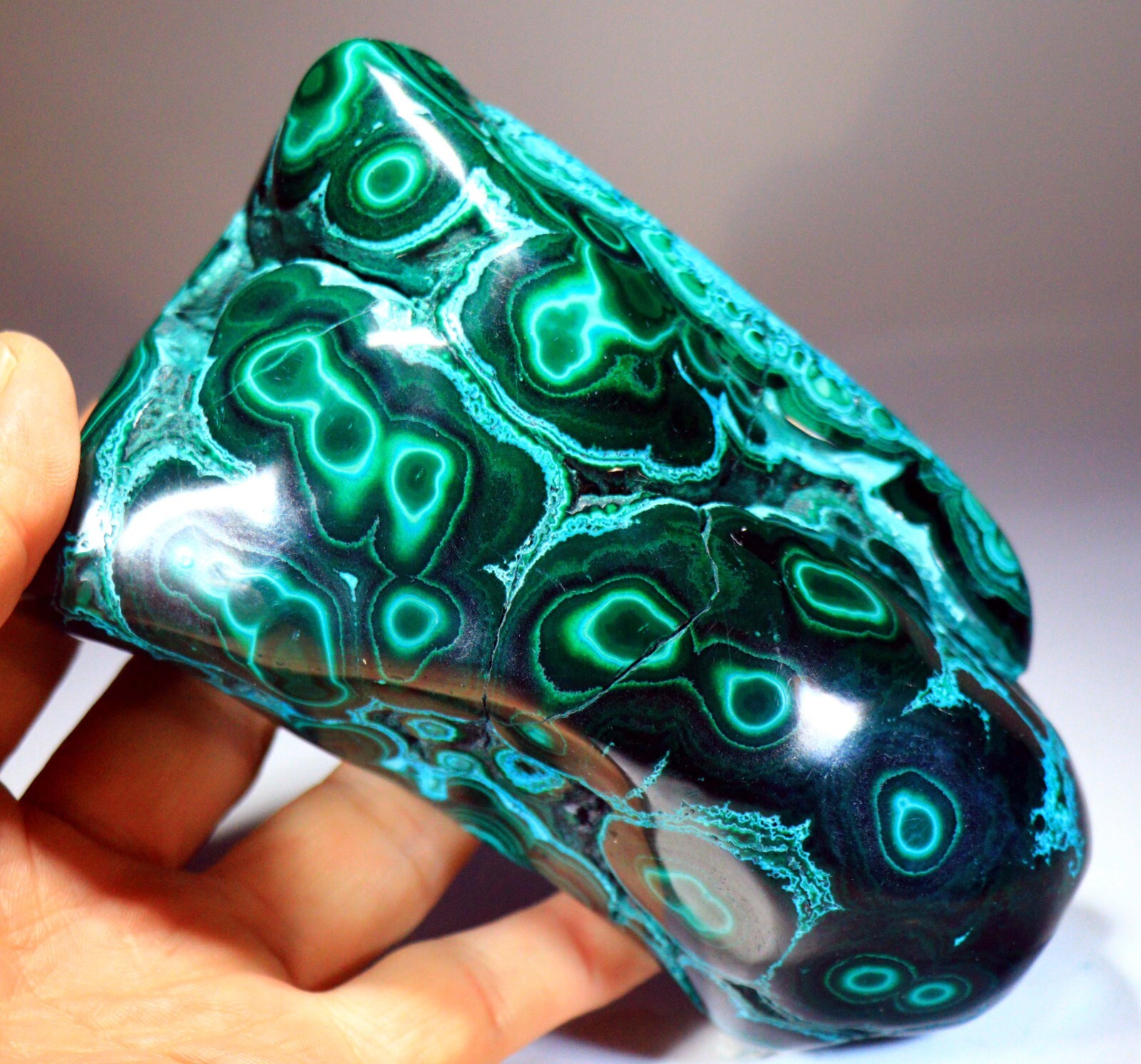 5.75 in 2 lb 12.6 oz Vivid Chrysocolla Malachite w/Superb Pattern, Congo! CR178