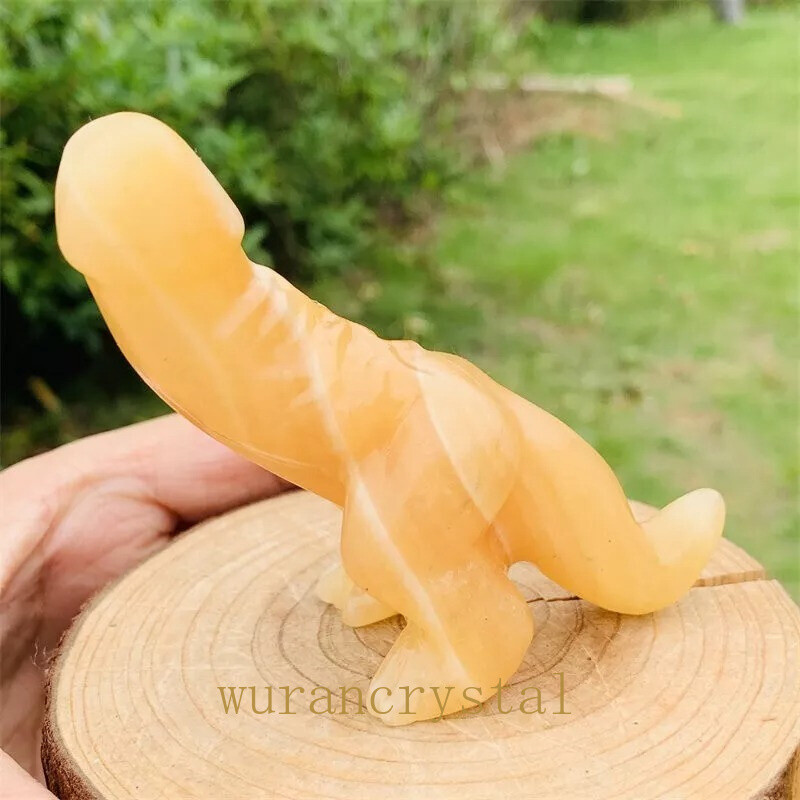 5pc mix Natural Dinosaur penis carved Quartz Crystal skull Reiki healing Random