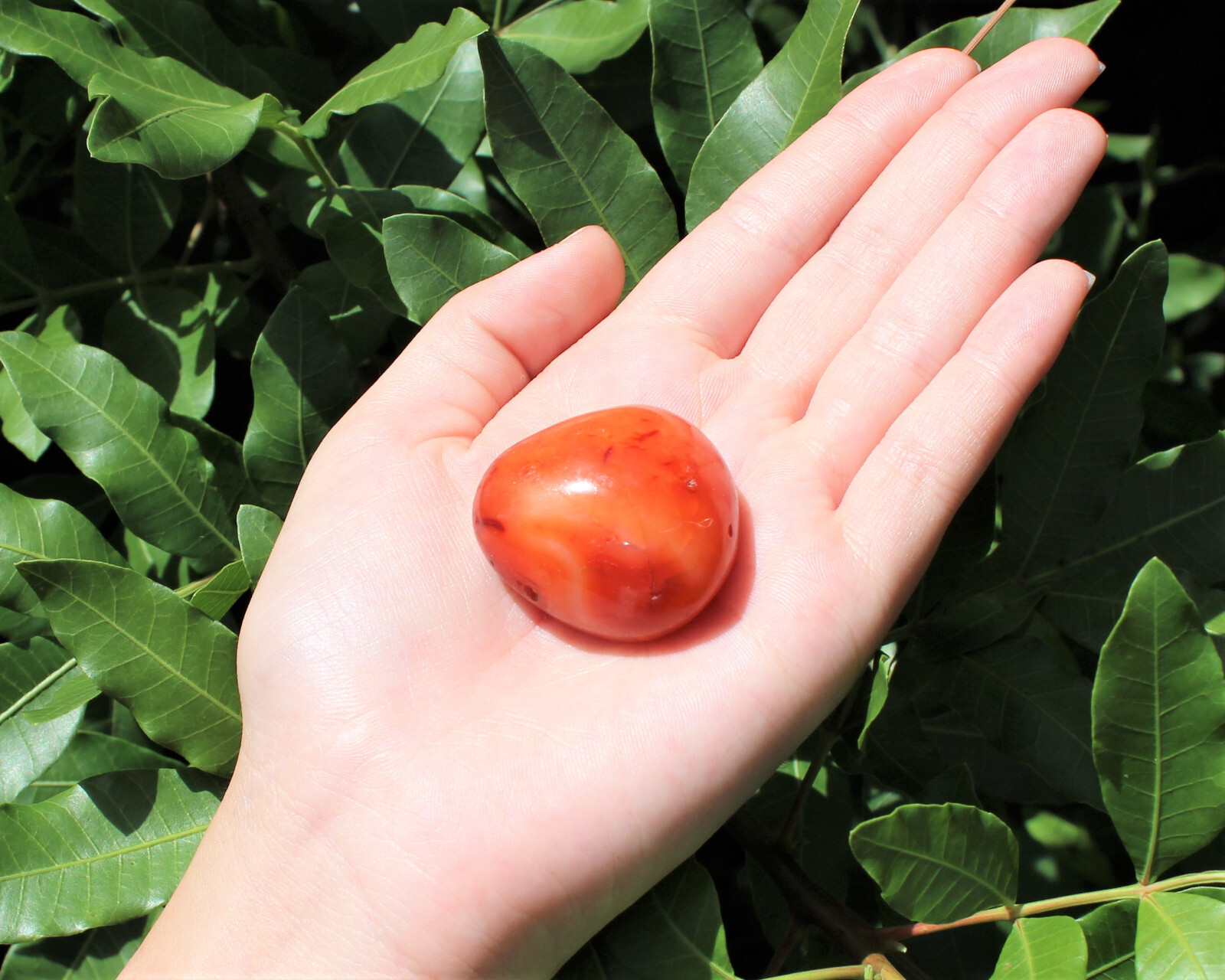 Carnelian Palm Stone: ‘AA’ Grade Hand Polished Pebbles (Wholesale Bulk Lot)