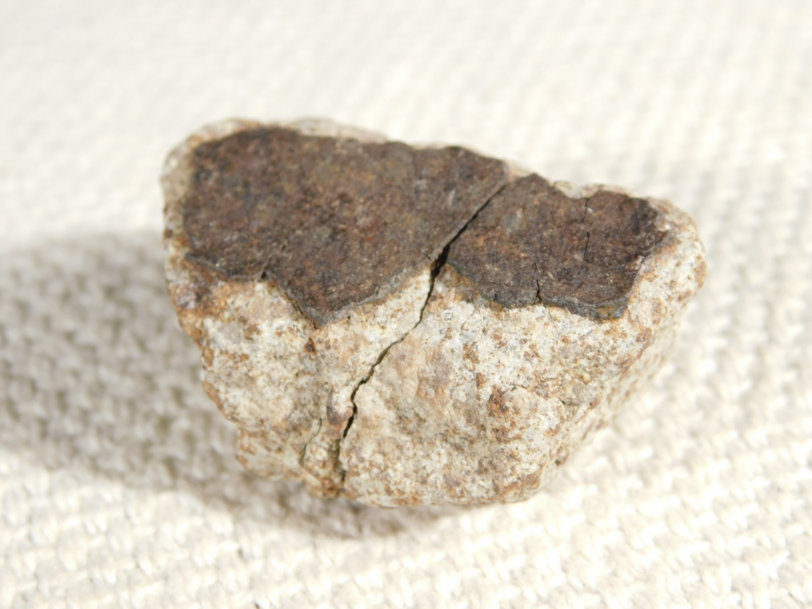 Classified NWA 8245 METEORITE Spots of Dark Fusion Crust! Erfoud, Morocco 52.8gr