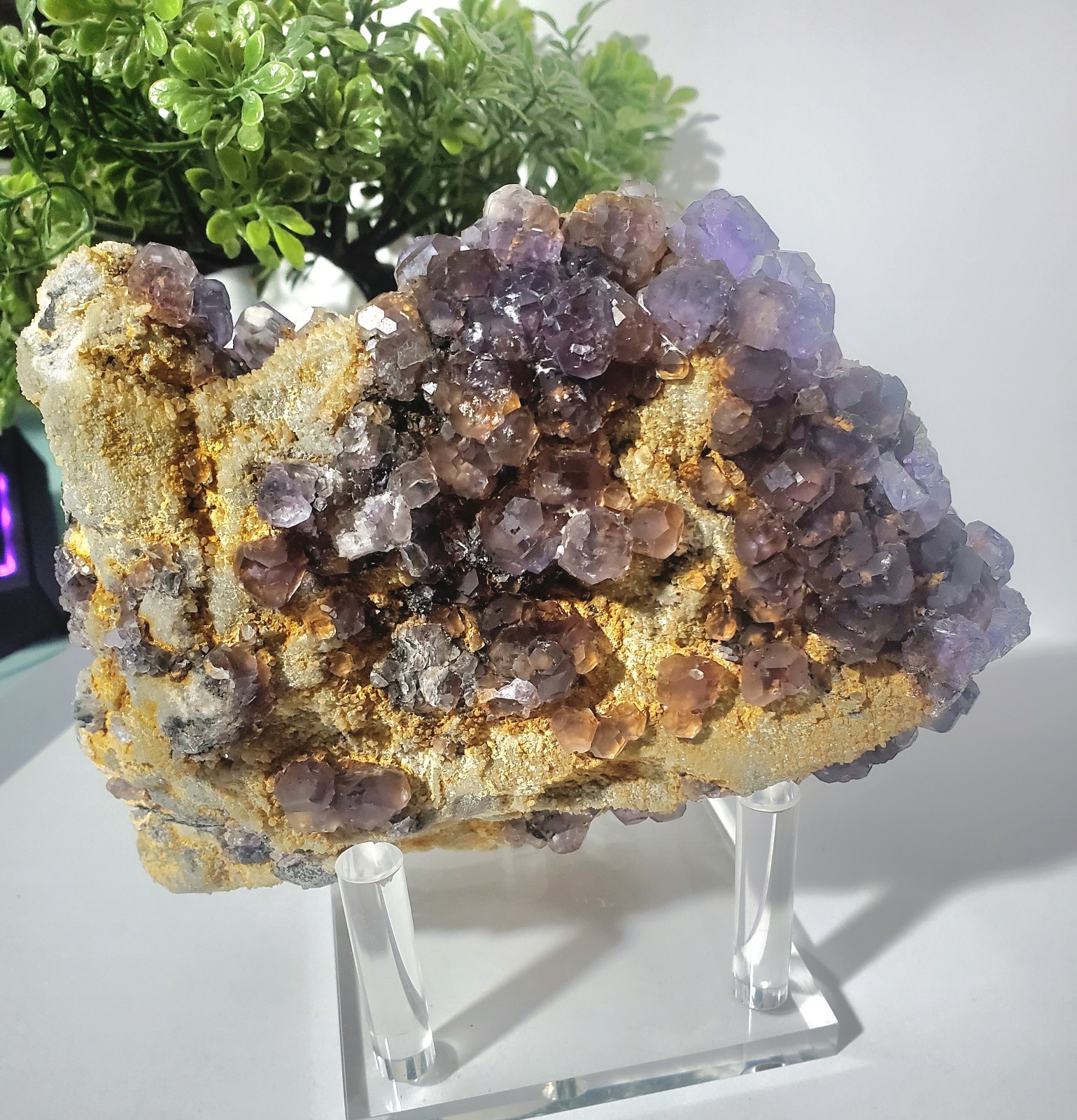 Tanzanite Fluorite On tan-colored quartz-rich matrix Statement PEACE 1KG 210G