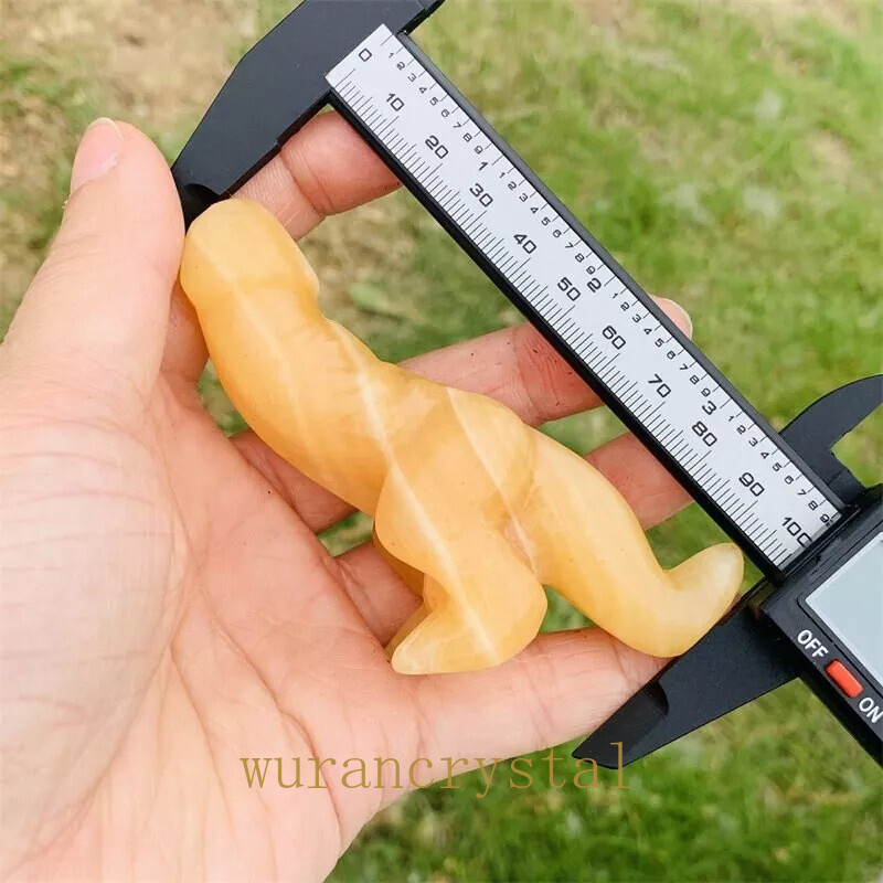 5pc mix Natural Dinosaur penis carved Quartz Crystal skull Reiki healing Random