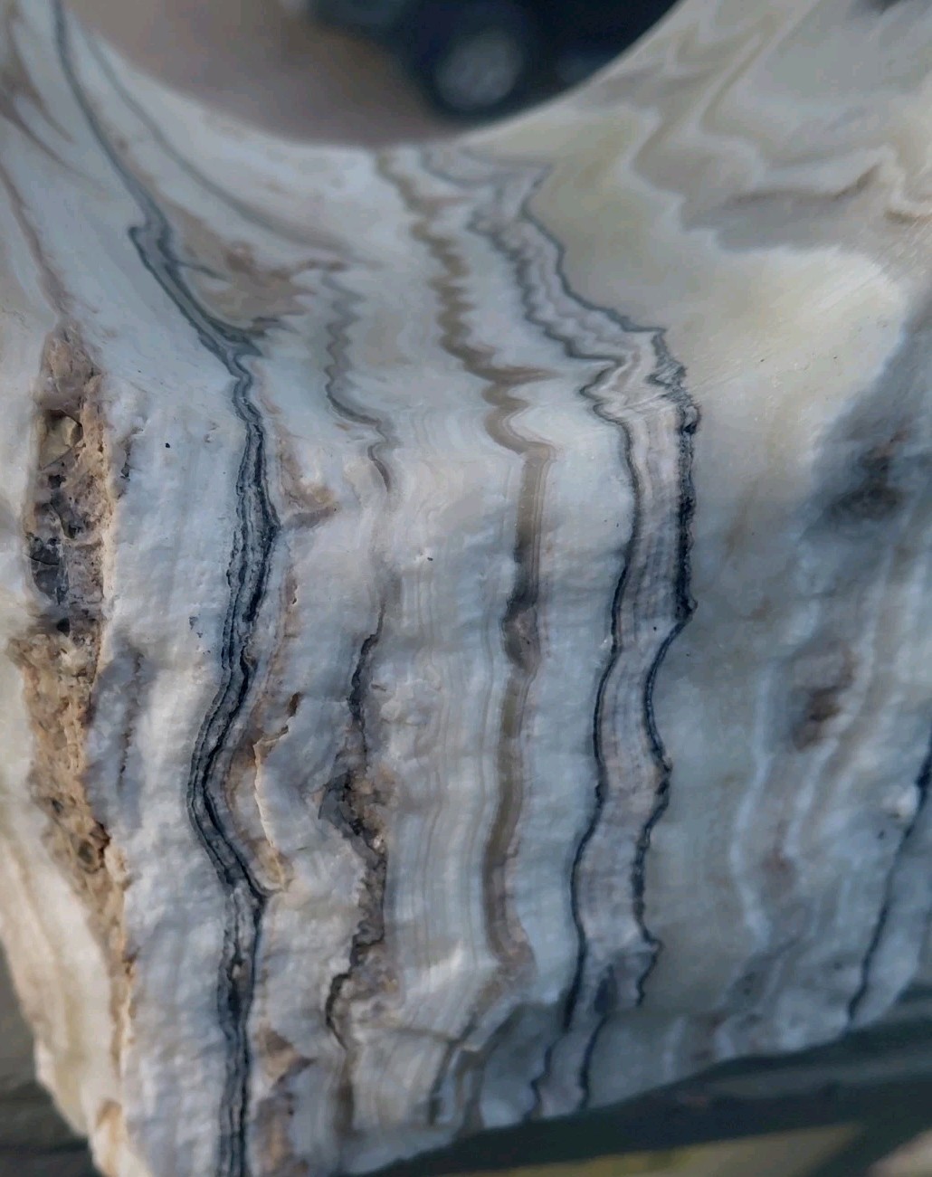 13.25Lb Zebra Calcite W CORED 4″ “Window” Display UV+ Bands Wrap Unique Décor