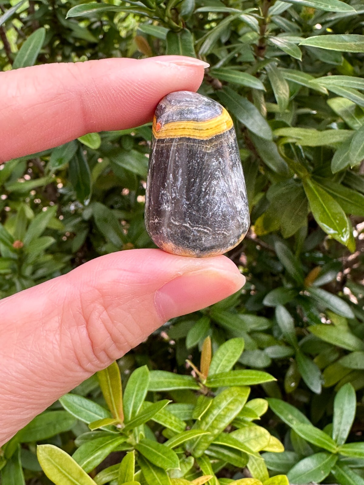 Grade A++ Bumblebee Jasper Tumbled Stones, 0.75-1.25″ Tumbled Bumblebee Jasper