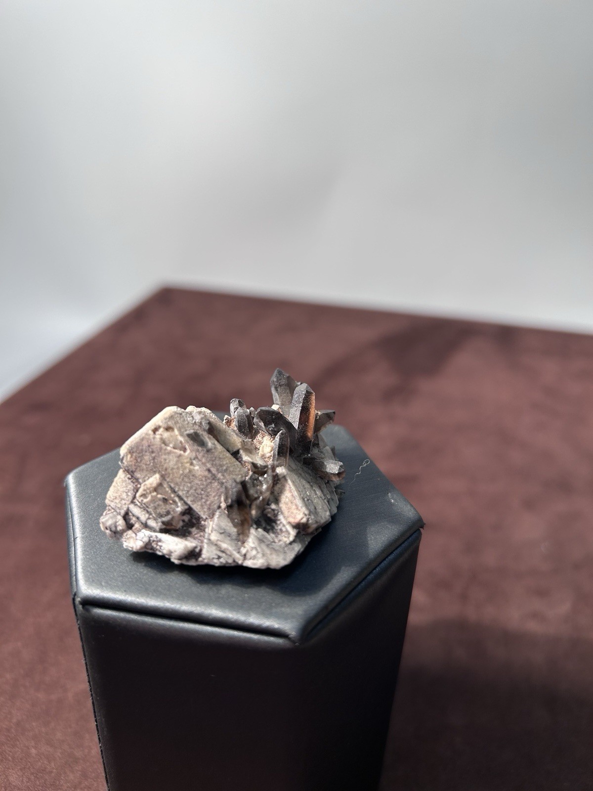 Smoky Quartz on Microcline Colorado Crystal Lined Pocket Miniature Mineral