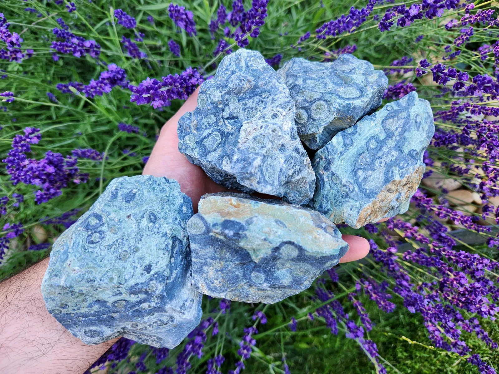 4.5 lbs Kambaba “Crocodile” Jasper – 5 Pieces – Ideal for Lapidary or Tumbling