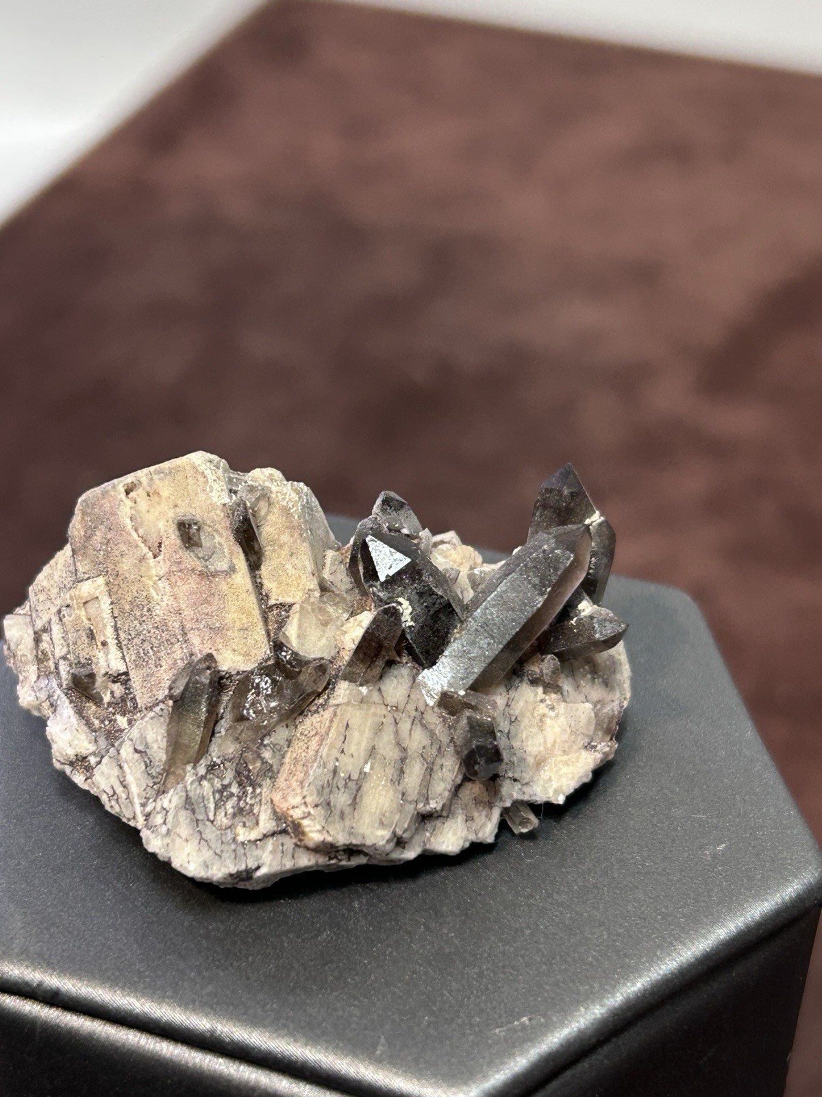 Smoky Quartz on Microcline Colorado Crystal Lined Pocket Miniature Mineral