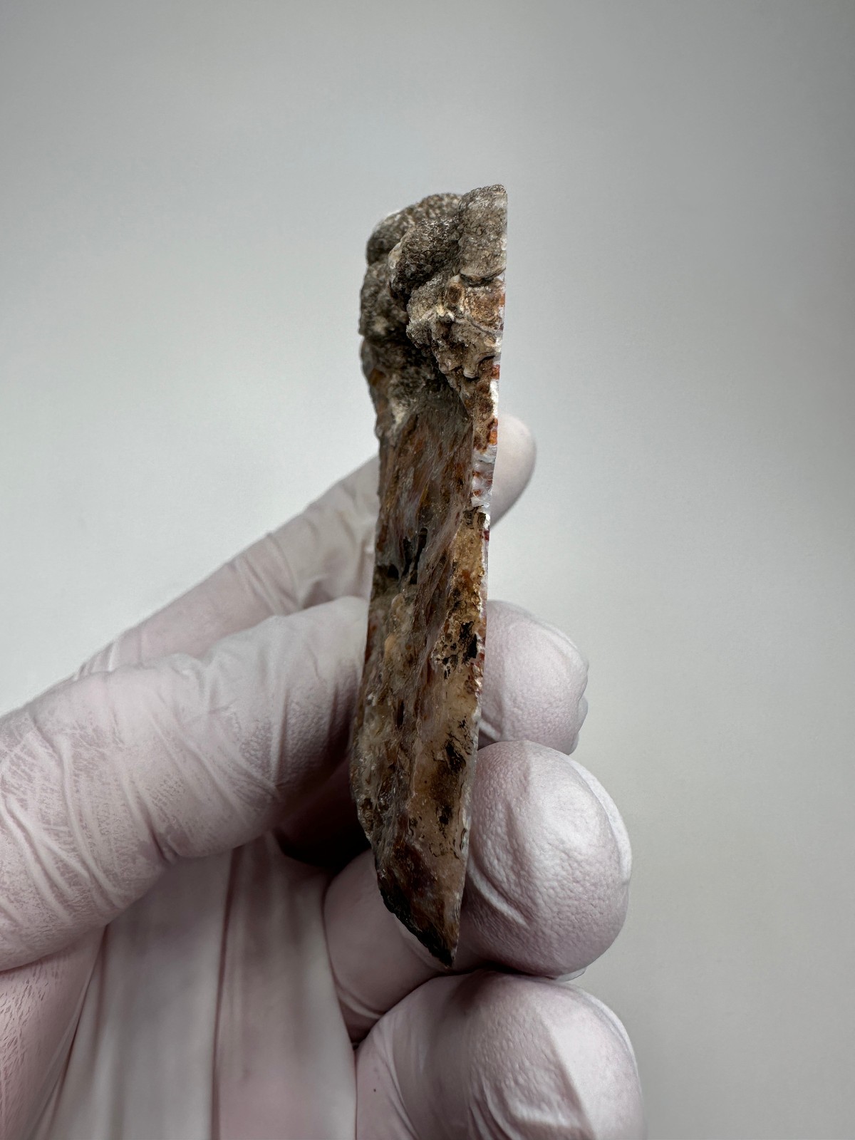 RARE Wingate Pass Plume Agate End-Cut Slab (a.k.a. Death Valley Plume)