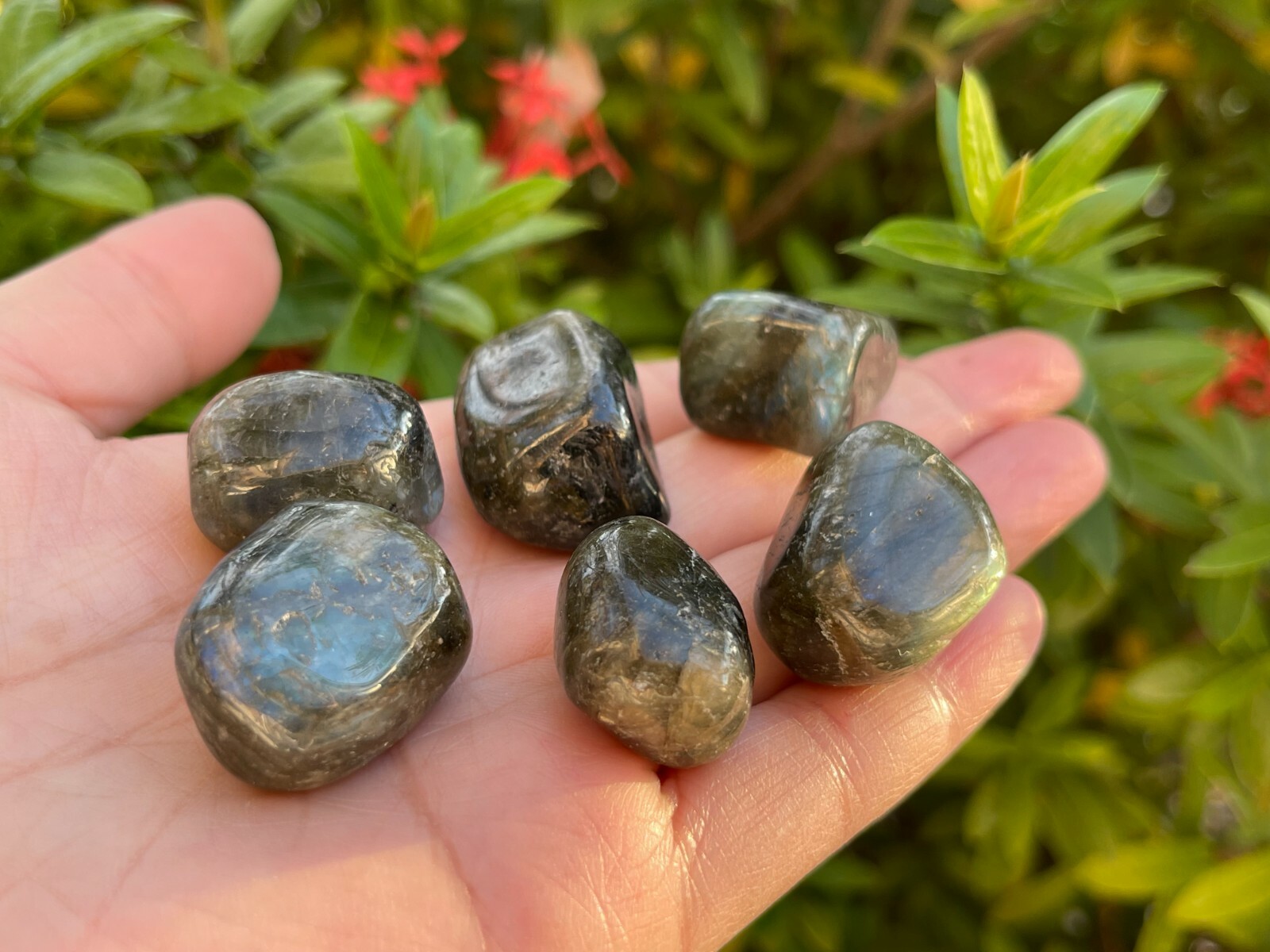 Labradorite Tumbled Stones, 0.75-1 Inch Tumbled Labradorite Stones,Wholesale Lot