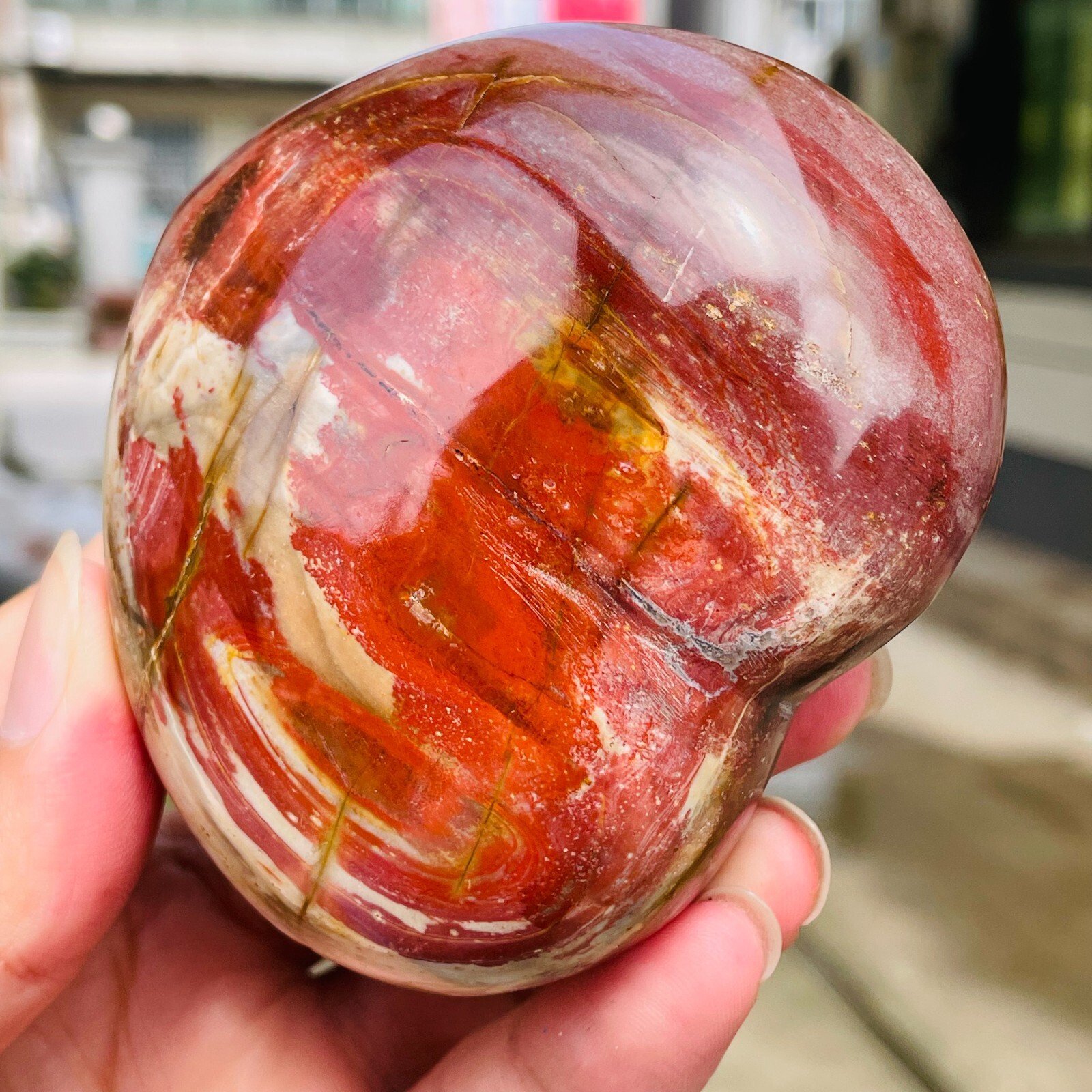 364g Natural Petrified Wood Jade Quartz Crystal Fossil Heart Shape Specimen