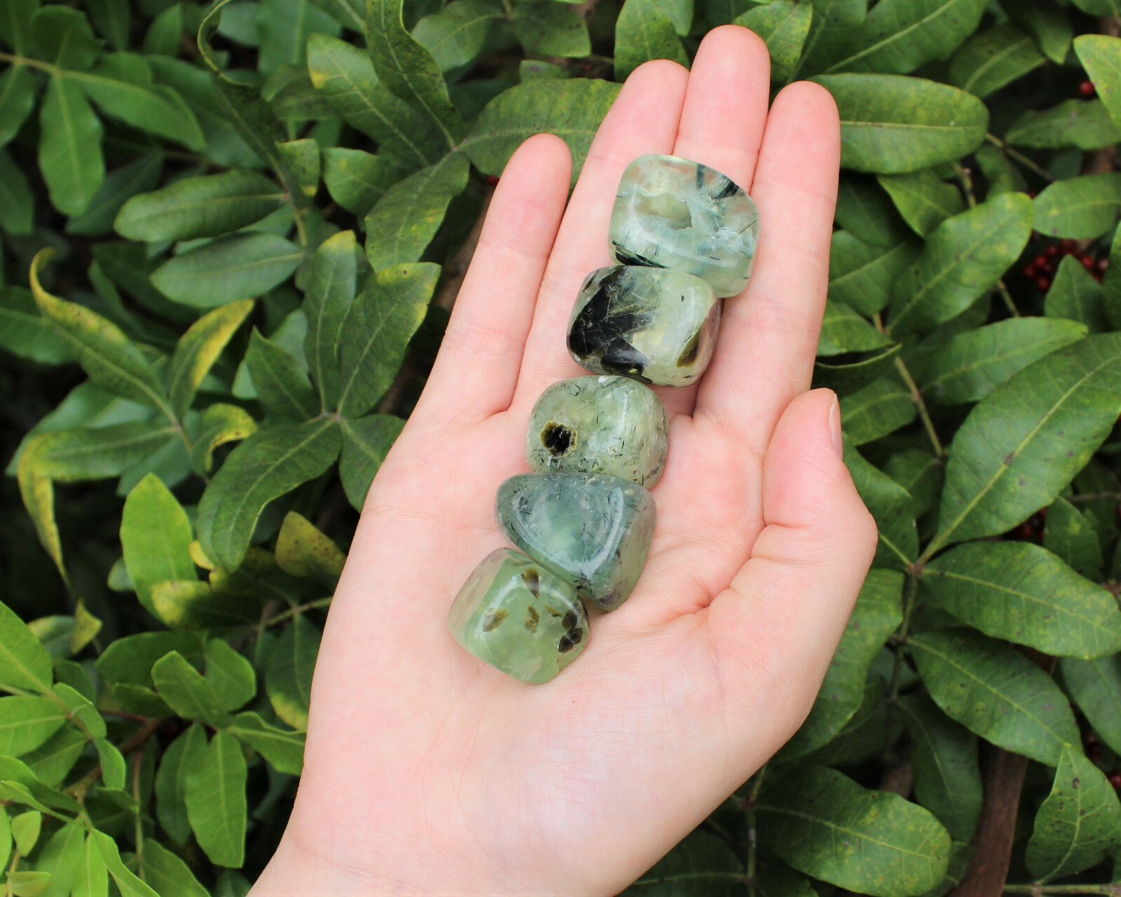 1/4 lb Prehnite with Epidote Tumbled Stones (Crystal Healing Reiki) 4 oz
