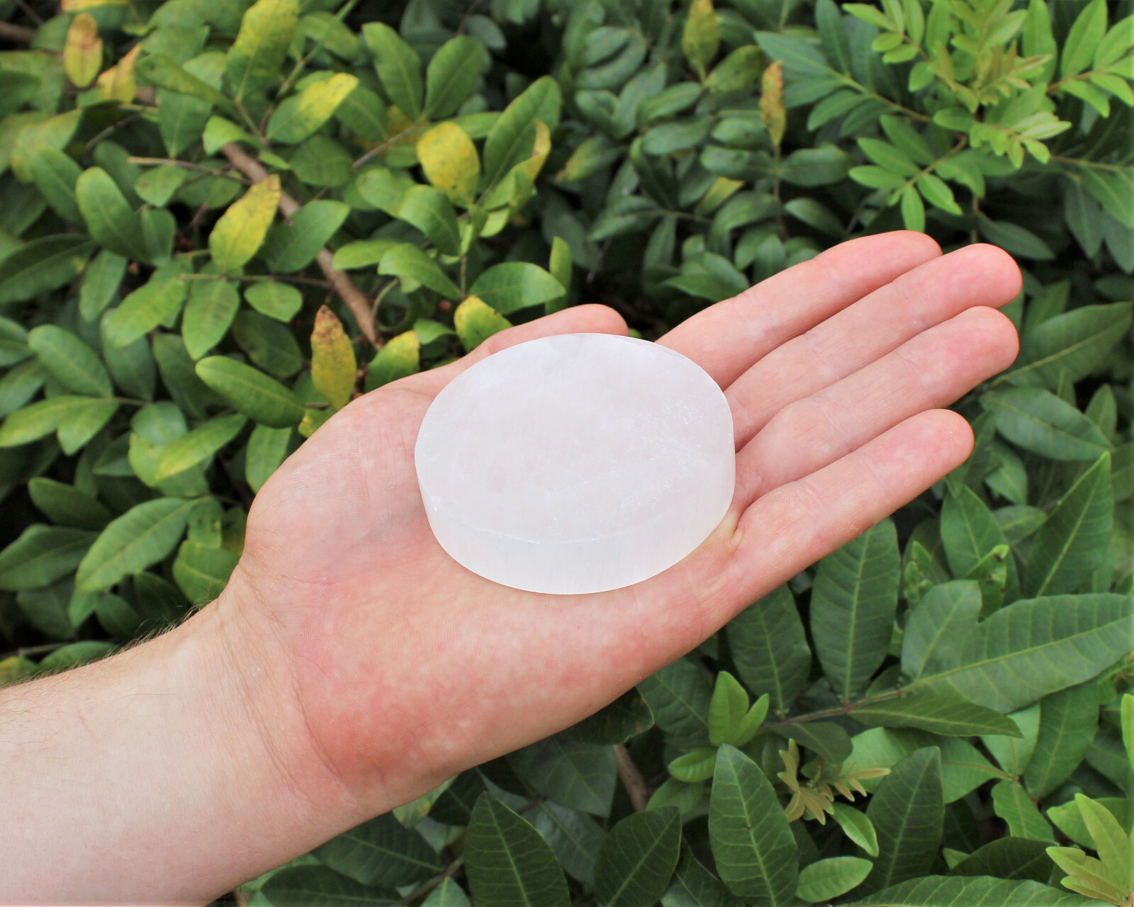 Polished Selenite Circle Charging Station 3″ 4″ or 6″ – Flat Round Crystal Plate