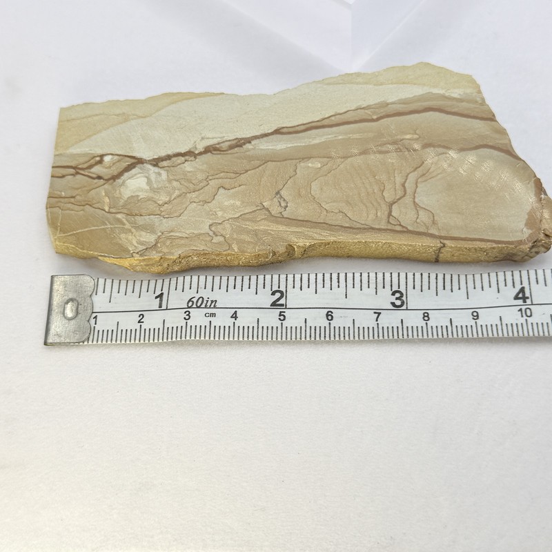 OWYHEE Picture Jasper Slab Polished Display Stone Oregon USA