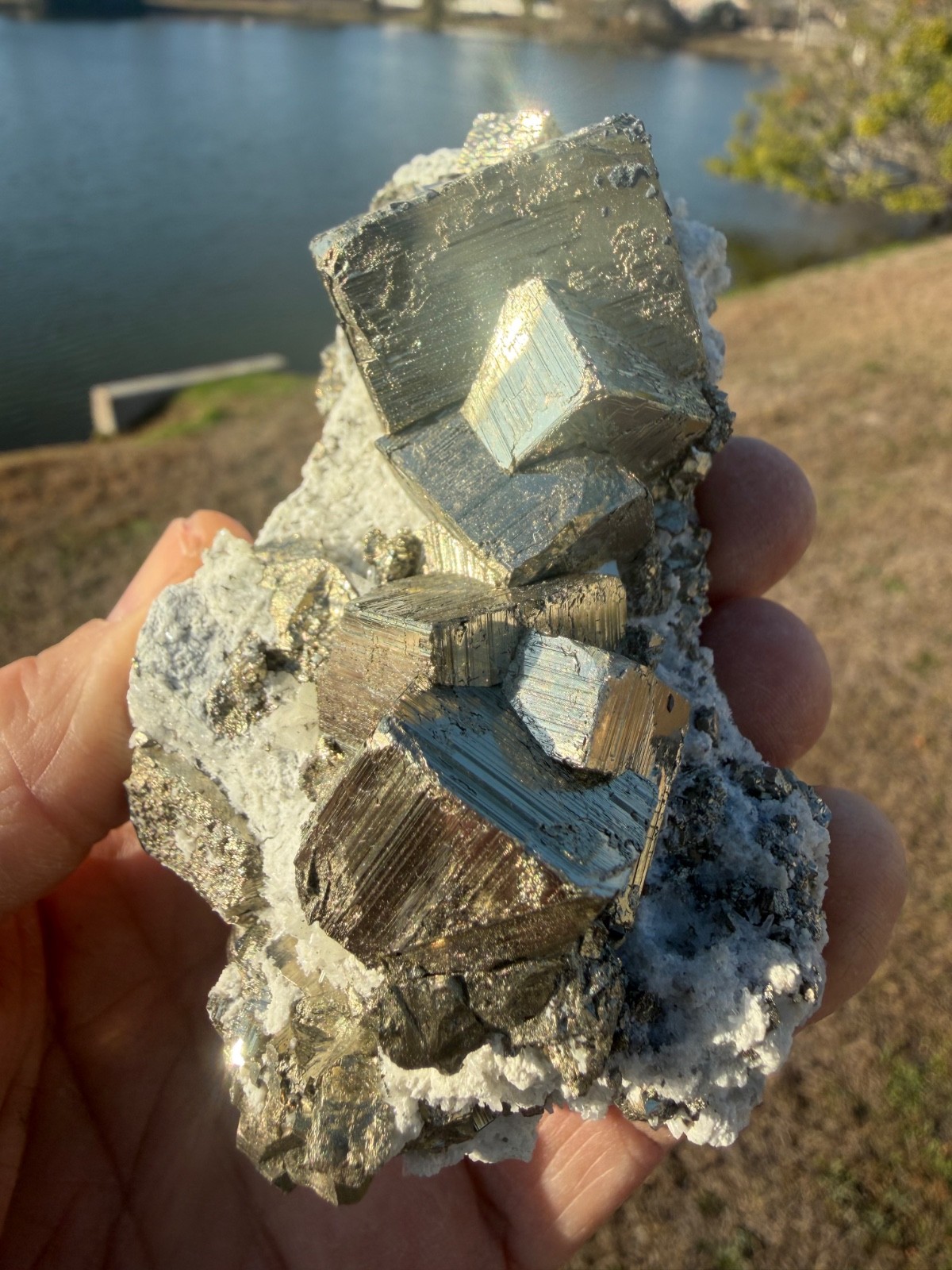 AAA PYRITE Crystal CUBE Cluster Huanzala Mine Peru 346gr 4″+ wide