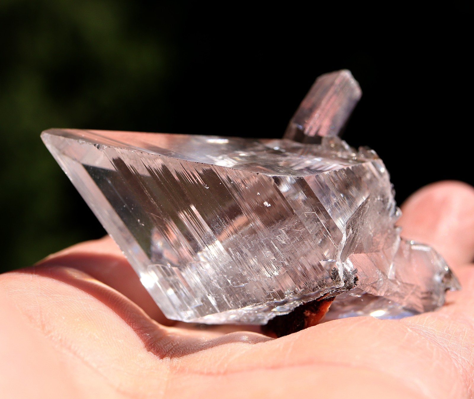 Gypsum “Selenite” Naica, Mexico 84.7 grams