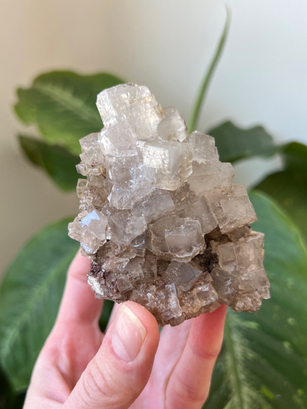 Smoky “Phantom” Halite: Geometric Earth-Tone Crystal Cluster – Morocco 3.5″