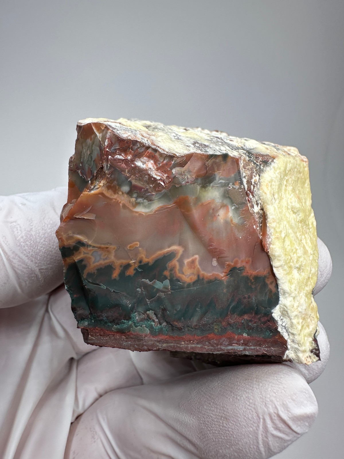 PREMIUM SPECIMEN__RARE Idaho Sunset Jasper / Agate Rough – Lemhi County, Idaho