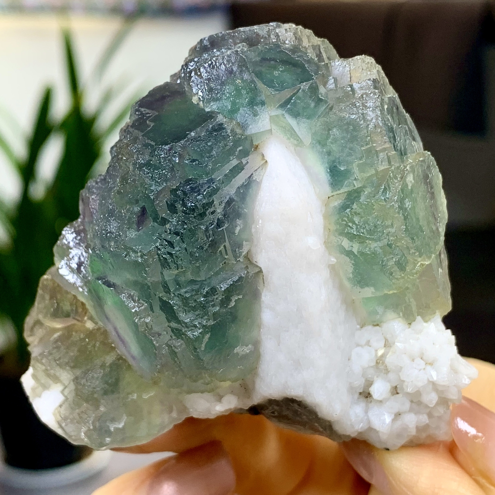197G Rare transparent blue green cubic fluorite mineral crystal sample