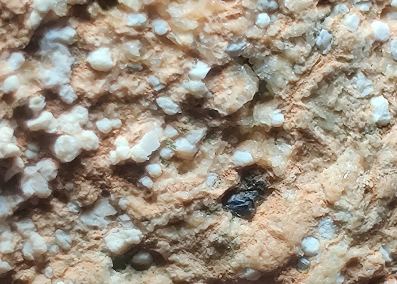 Opal on Sepentine with Magnetite, UV. San Benito, California. 213 grams.