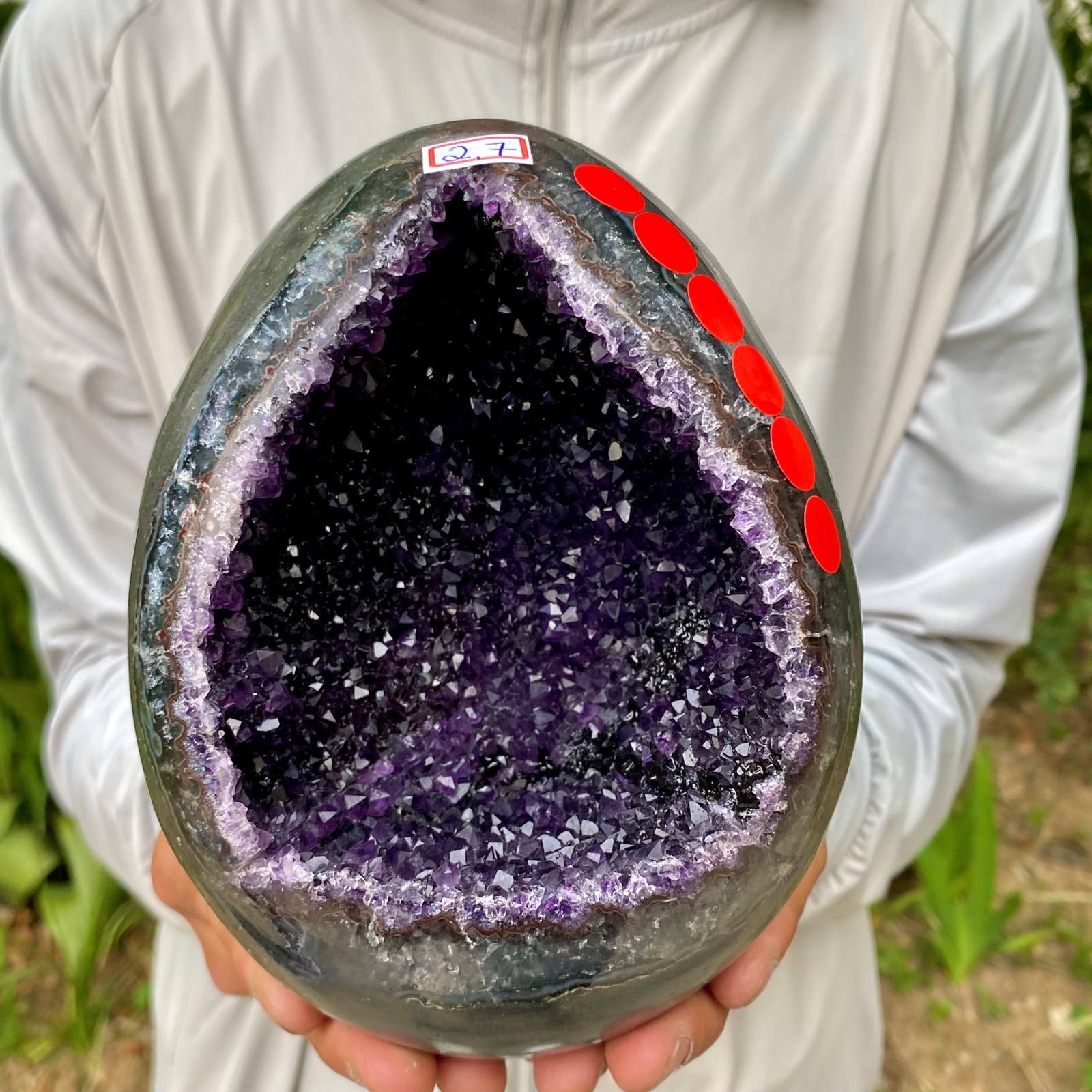 5.99LB High quality Natural Amethyst geode quartz crystal Dinosaur egg healing