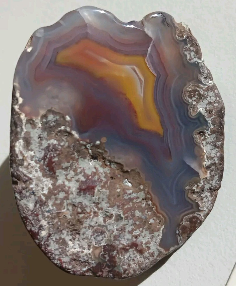 2 Matching Condor Agate Nodule Halves Glass Polish Blue/Grey Red Yellow Bands A+