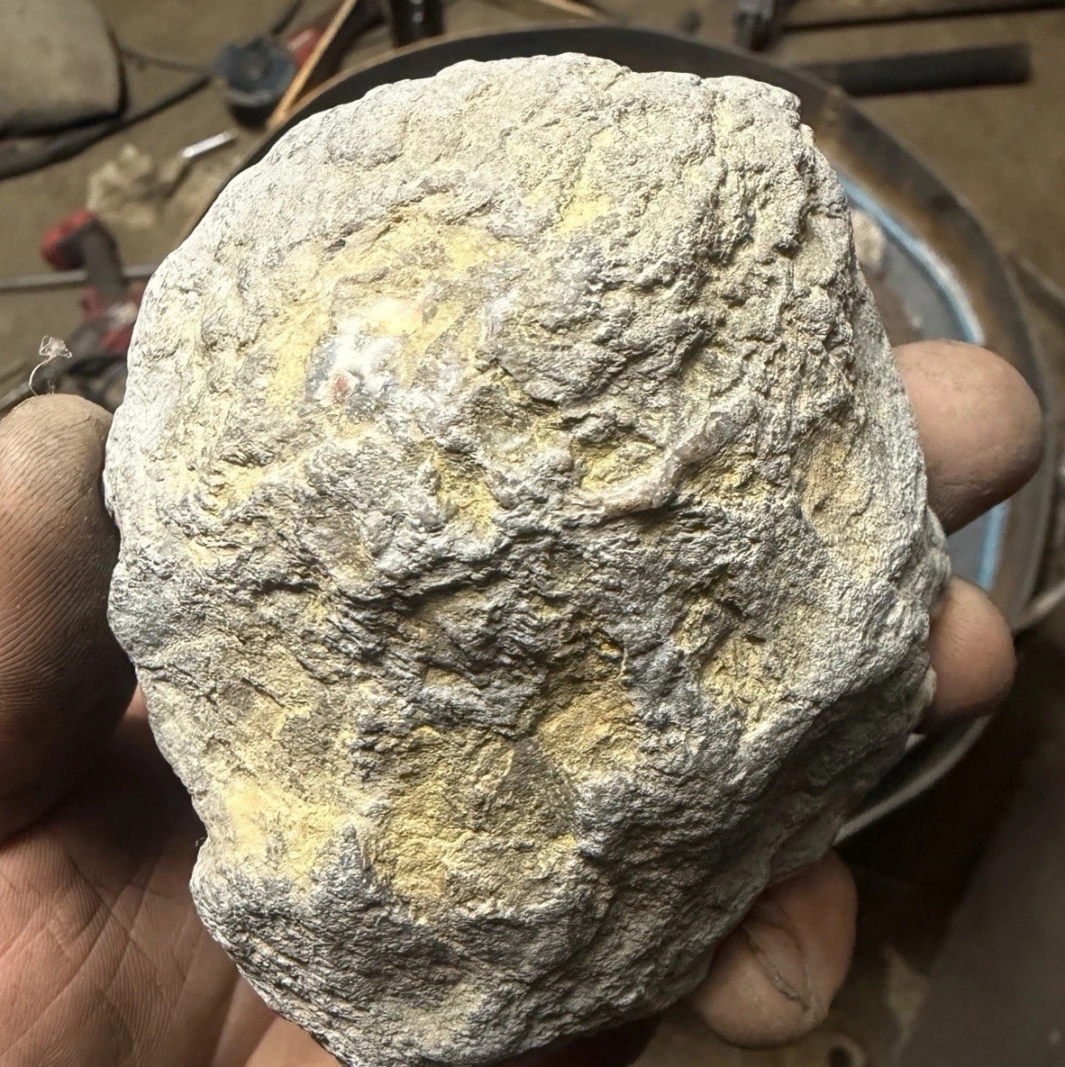 Rare Kentucky Agate Red Yellow Blue | Mirror Polished Half Estill County KY