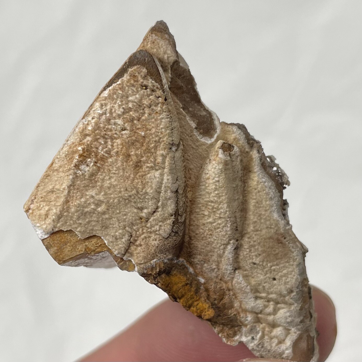 Calcite Crystal From Estill Co KENTUCKY USA 30g