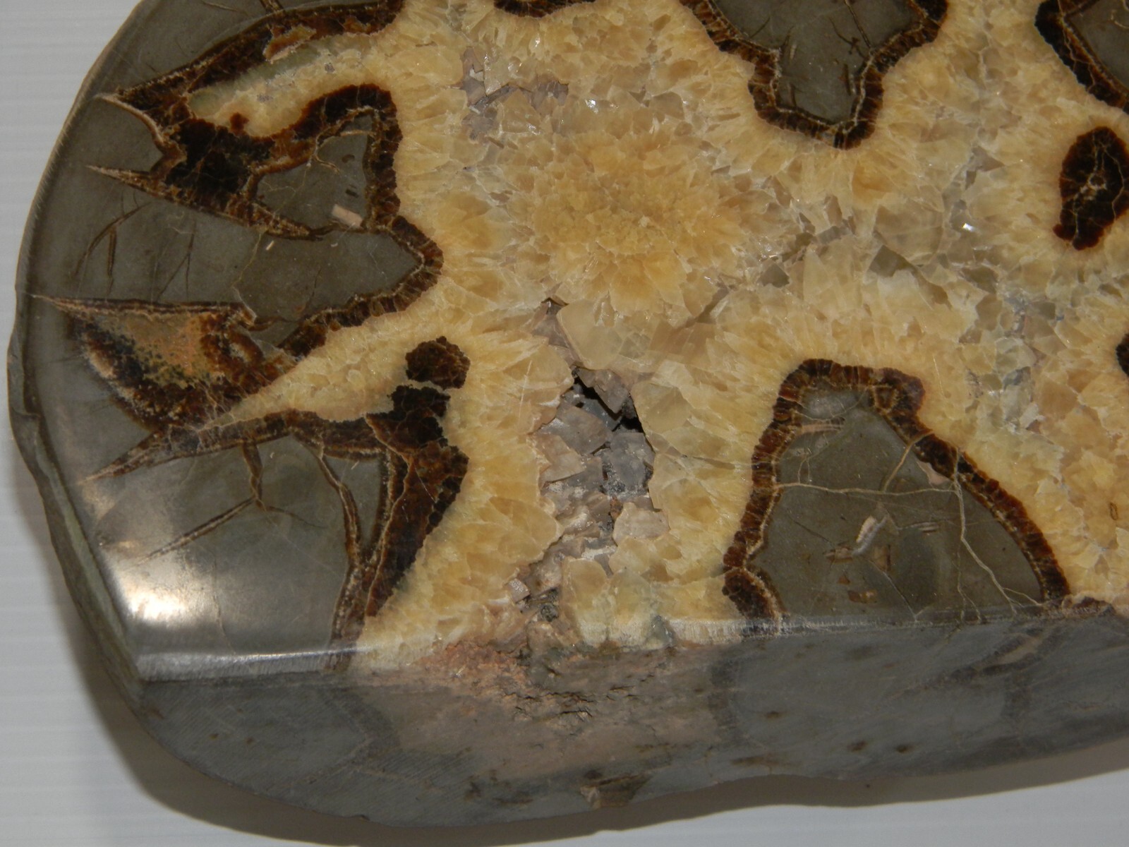 11 lb – Polished SEPTARIAN Nodule Half Utah Cut Bottom Standing