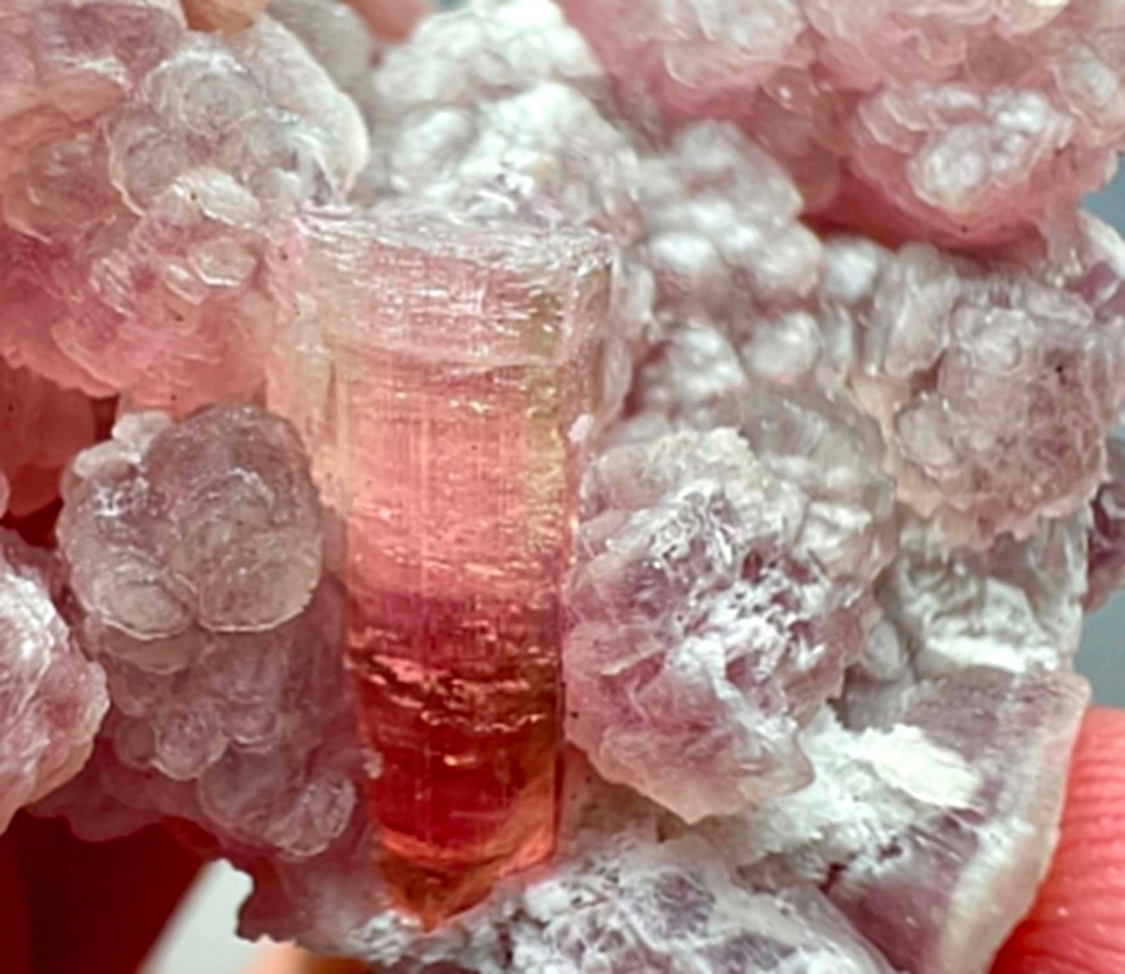 88 Carat Ultra Rare !!! Pink Color Tourmaline Crystals On Mica @Afg