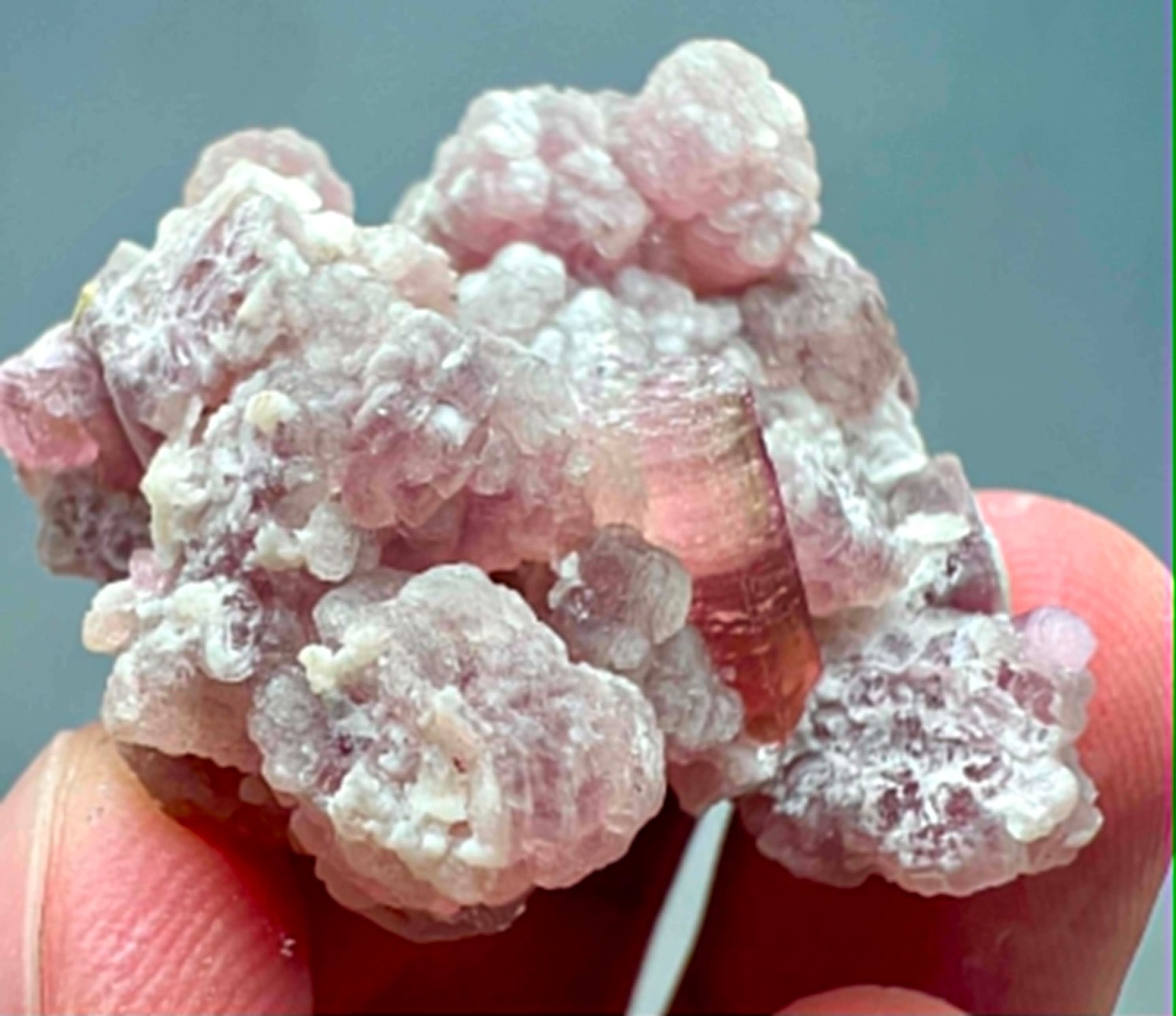 88 Carat Ultra Rare !!! Pink Color Tourmaline Crystals On Mica @Afg
